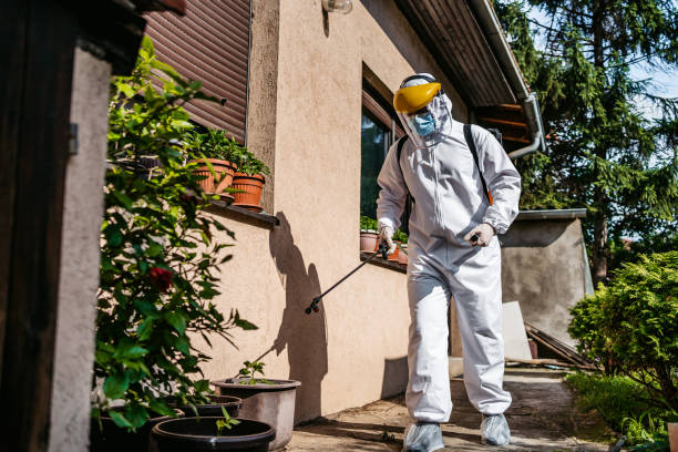 Best Spider Control Near Me  in South Amboy, NJ