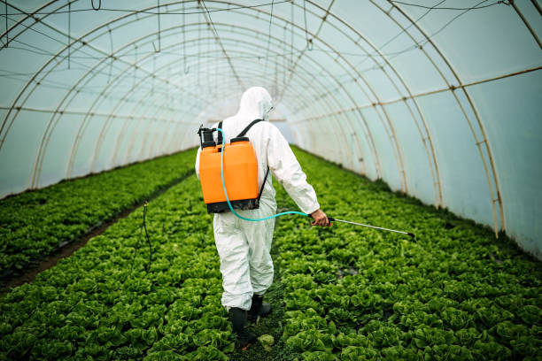 Best Best Pest Control Companies  in South Amboy, NJ